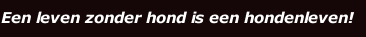Een leven zonder hond is een hondenleven!